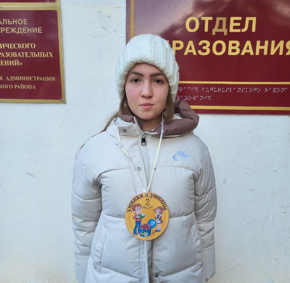 игра "Умники и умницы".