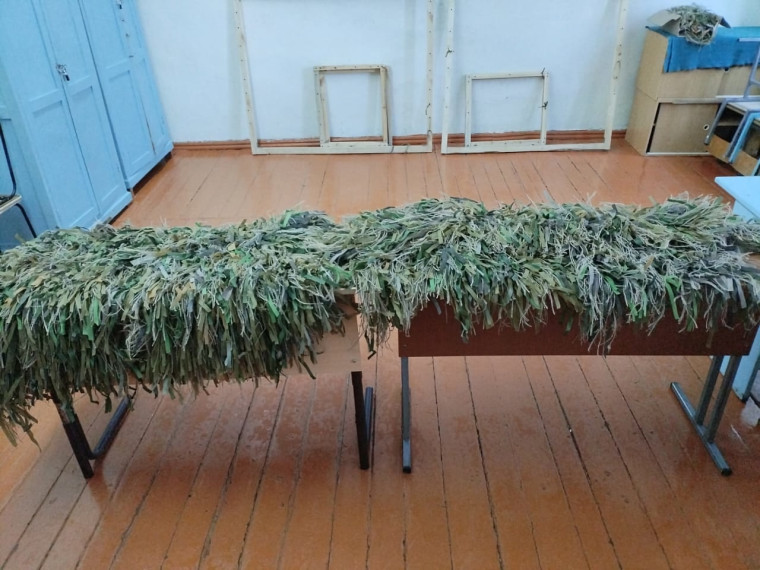 Для СВОих.